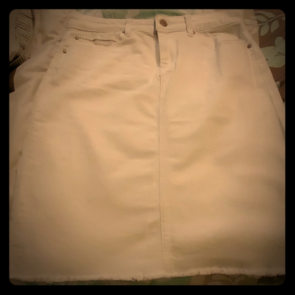Knee Length Jean Skirt